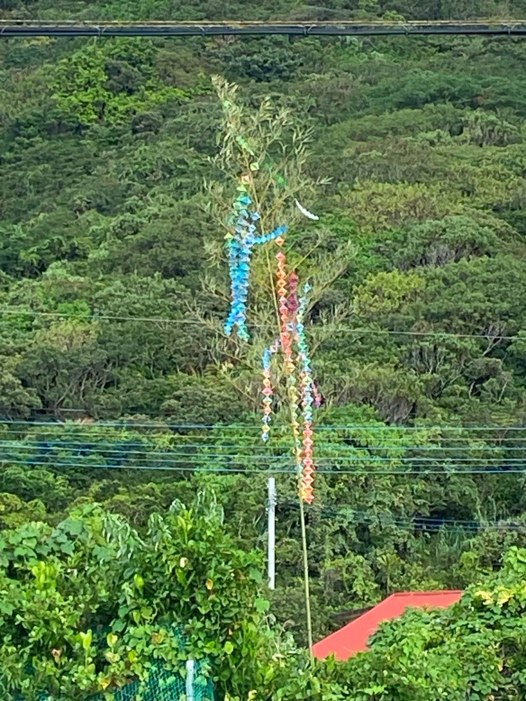 Tanabata decoration from bamboo pole